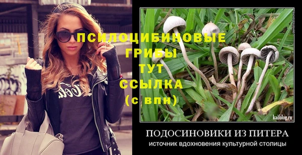 мет Абинск