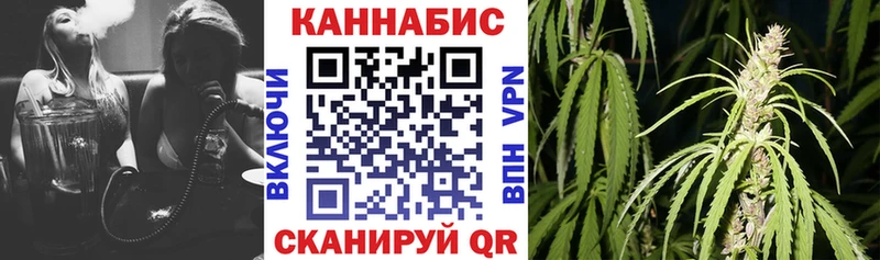 закладка  Камень-на-Оби  Каннабис AK-47 
